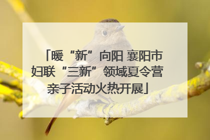 暖“新”向阳 襄阳市妇联“三新”领域夏令营亲子活动火热开展