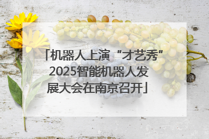 机器人上演“才艺秀” 2025智能机器人发展大会在南京召开