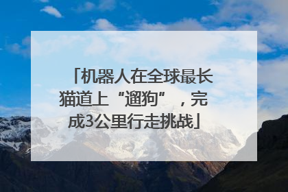 机器人在全球最长猫道上“遛狗”，完成3公里行走挑战