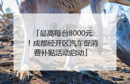 最高每台8000元！成都经开区汽车促消费补贴活动启动