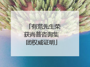 有范先生荣获尚普咨询集团权威证明