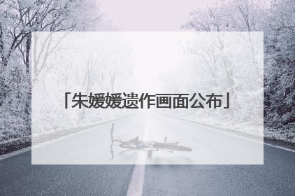 朱媛媛遗作画面公布