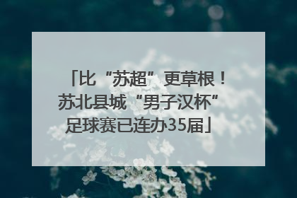 比“苏超”更草根！苏北县城“男子汉杯”足球赛已连办35届