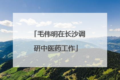 毛伟明在长沙调研中医药工作