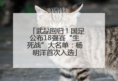 武磊回归！国足公布18强赛“生死战”大名单：杨明洋首次入选