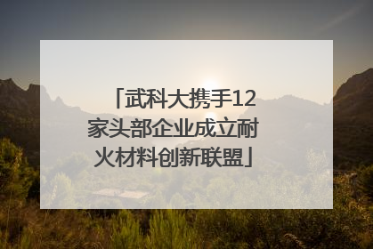 武科大携手12家头部企业成立耐火材料创新联盟