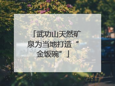 武功山天然矿泉为当地打造“金饭碗”