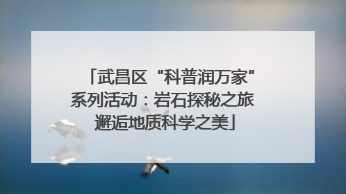 武昌区“科普润万家”系列活动：岩石探秘之旅 邂逅地质科学之美