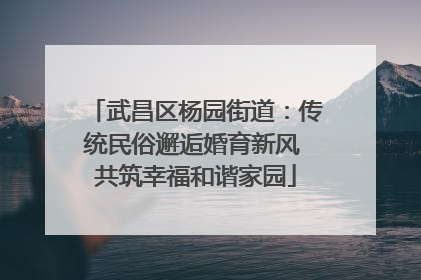 武昌区杨园街道：传统民俗邂逅婚育新风 共筑幸福和谐家园