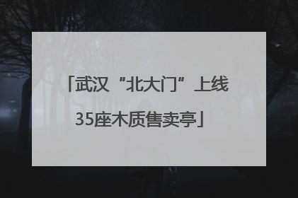 武汉“北大门”上线35座木质售卖亭