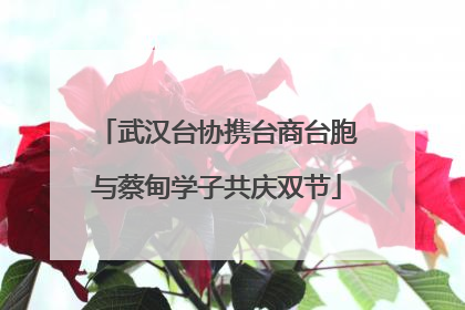 武汉台协携台商台胞与蔡甸学子共庆双节