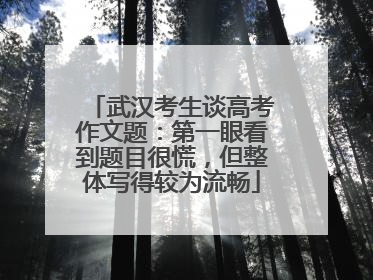 武汉考生谈高考作文题：第一眼看到题目很慌，但整体写得较为流畅