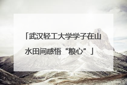 武汉轻工大学学子在山水田间感悟“粮心”