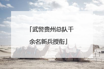 武警贵州总队千余名新兵授衔