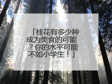 桂花有多少种成为美食的可能？你的水平可能不如小学生！
