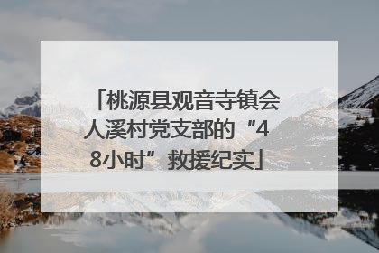 桃源县观音寺镇会人溪村党支部的“48小时”救援纪实