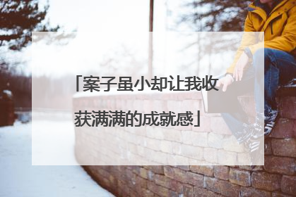 案子虽小却让我收获满满的成就感