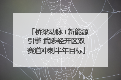 桥梁动脉+新能源引擎 武陟经开区双赛道冲刺半年目标