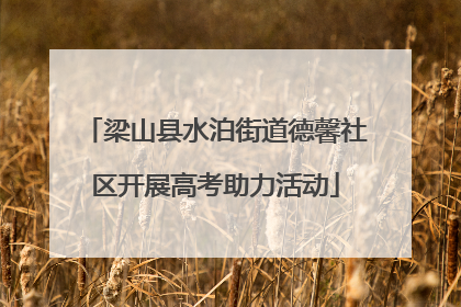 梁山县水泊街道德馨社区开展高考助力活动