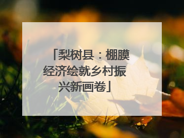 梨树县：棚膜经济绘就乡村振兴新画卷