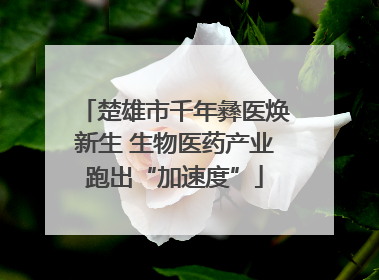 楚雄市千年彝医焕新生 生物医药产业跑出“加速度”