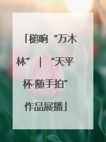 槌响“万木林”｜“天平杯·随手拍”作品展播