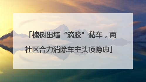 槐树出墙“滴胶”黏车，两社区合力消除车主头顶隐患
