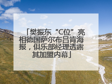 樊振东“C位”亮相德国萨尔布吕肯海报，俱乐部经理透露其加盟内幕