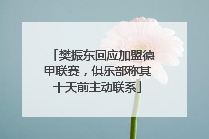 樊振东回应加盟德甲联赛，俱乐部称其十天前主动联系