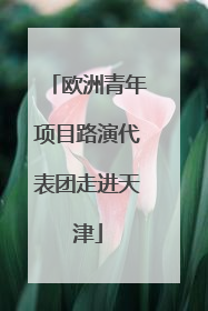 欧洲青年项目路演代表团走进天津