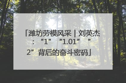 潍坊劳模风采｜刘英杰：“1”“1.01”“2”背后的奋斗密码