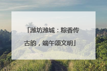 潍坊潍城：粽香传古韵，端午颂文明