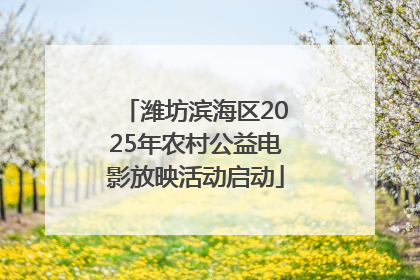 潍坊滨海区2025年农村公益电影放映活动启动