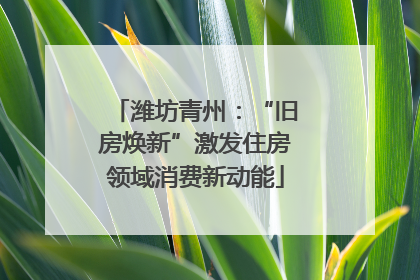 潍坊青州：“旧房焕新”激发住房领域消费新动能