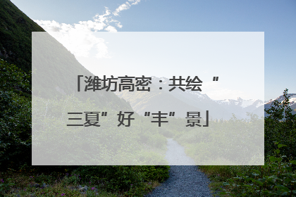 潍坊高密：共绘“三夏”好“丰”景