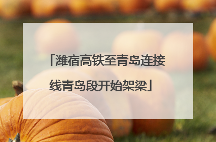 潍宿高铁至青岛连接线青岛段开始架梁