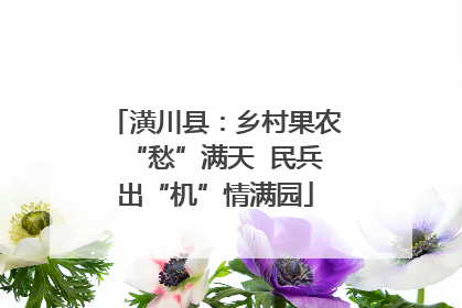 潢川县：乡村果农“愁”满天  民兵出“机”情满园