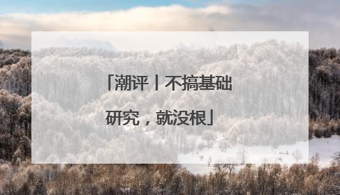潮评丨不搞基础研究，就没根