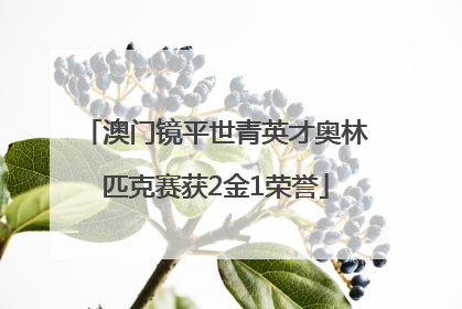澳门镜平世青英才奥林匹克赛获2金1荣誉