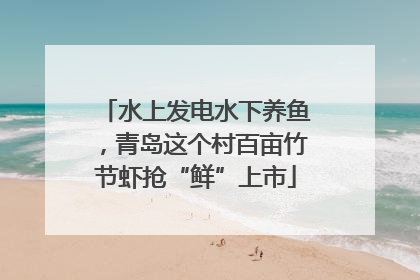 水上发电水下养鱼，青岛这个村百亩竹节虾抢“鲜”上市