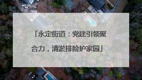 永定街道：党建引领聚合力，清淤排险护家园