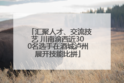 汇聚人才、交流技艺 川南渝西近300名选手在酒城泸州展开技能比拼