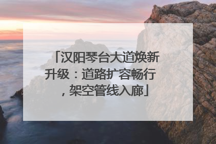 汉阳琴台大道焕新升级：道路扩容畅行，架空管线入廊