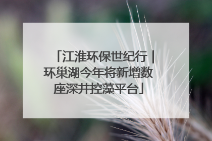 江淮环保世纪行｜环巢湖今年将新增数座深井控藻平台
