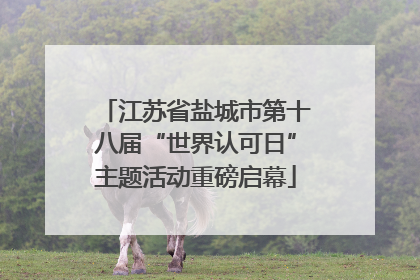 江苏省盐城市第十八届“世界认可日”主题活动重磅启幕
