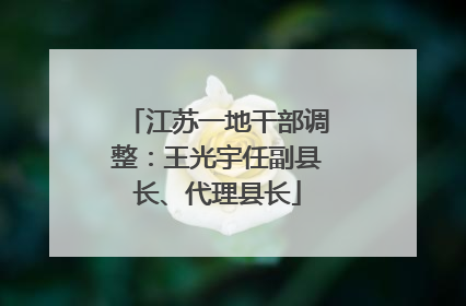 江苏一地干部调整：王光宇任副县长、代理县长