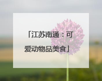 江苏南通：可爱动物品美食