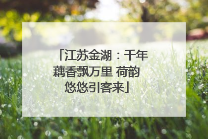 江苏金湖：千年藕香飘万里 荷韵悠悠引客来
