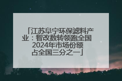 江苏阜宁环保滤料产业：智改数转领跑全国 2024年市场份额占全国三分之一