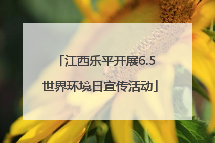 江西乐平开展6.5世界环境日宣传活动